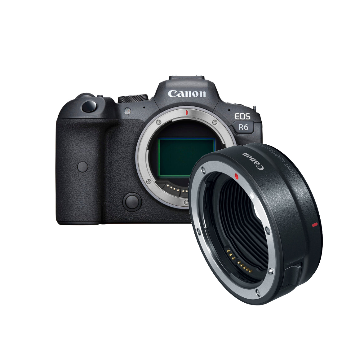 デジタルカメラ Canon EOS R6 & Mount Adapter EF-EOS R Amazon.com : Canon Mount Adapter EF-EOS R : Electronics