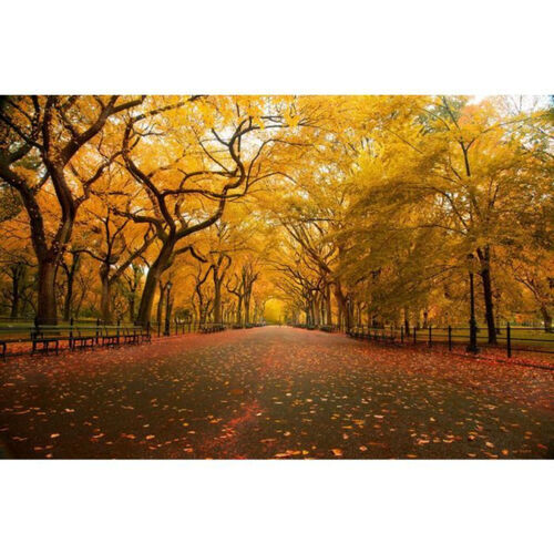 Retro - Visual American Elm Street | Swiss Event Rentals - 1510 Moudon