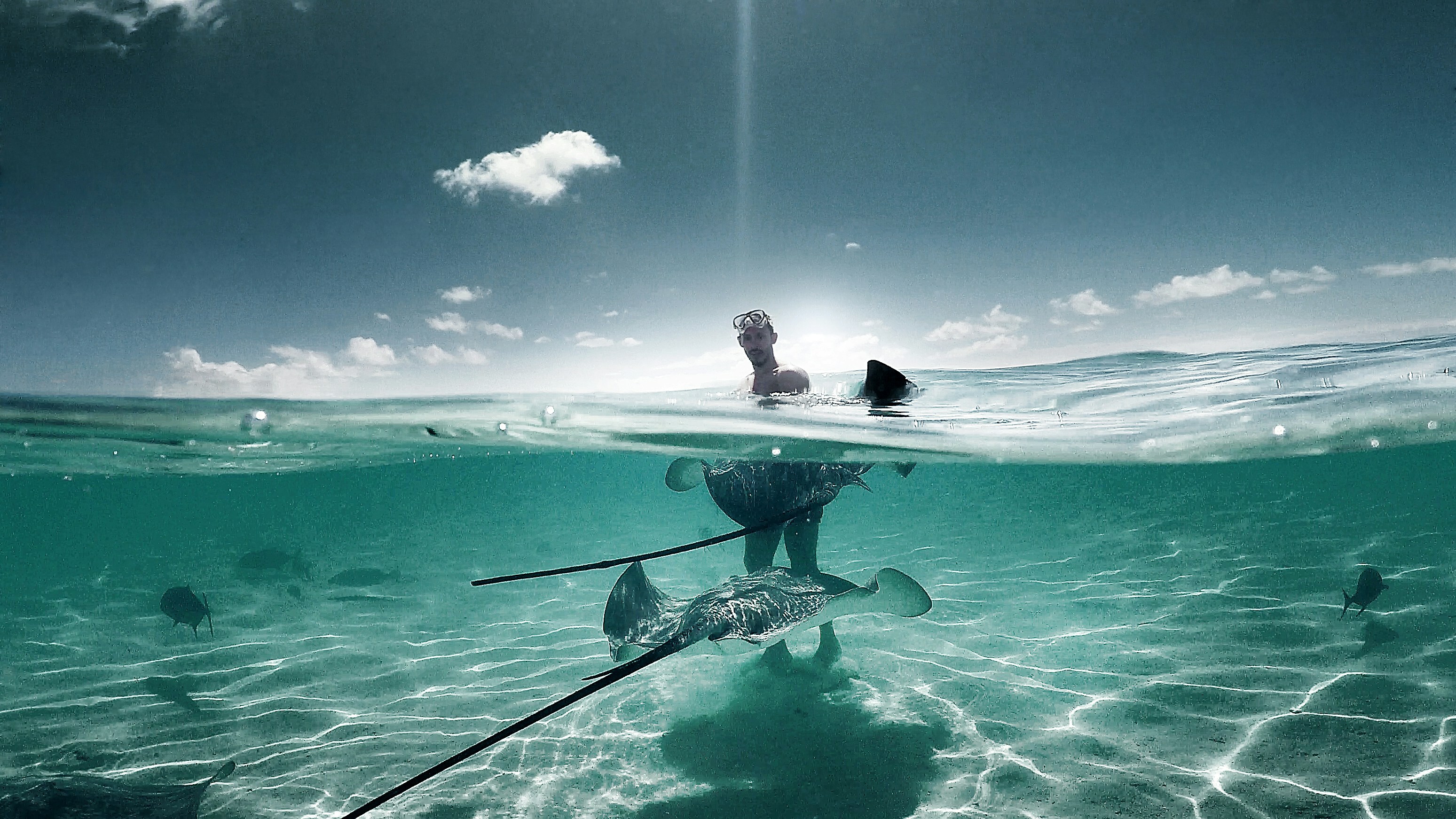 Bimini Bahamas Day Trip | Captain T Yacht Rental