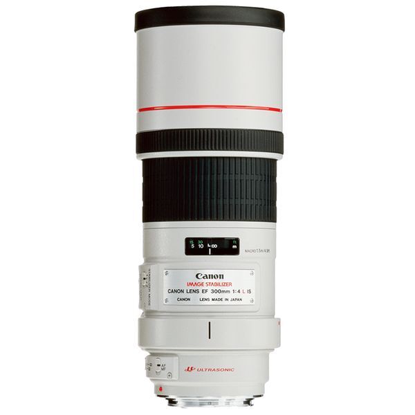 Rent Canon EF 300mm f/4L USM Lens | Rent Camera Gear in Singapore ...