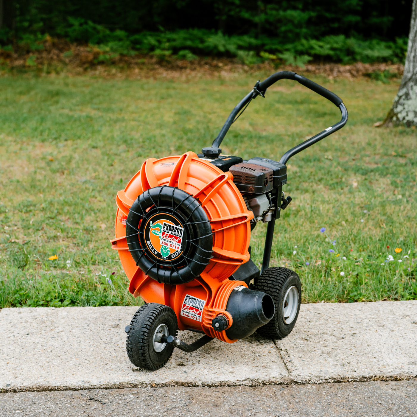 Leaf Blower Rental