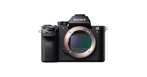 point and shoot camera rental