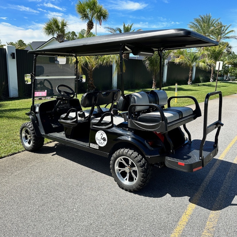 Gas Golf Cart Detail