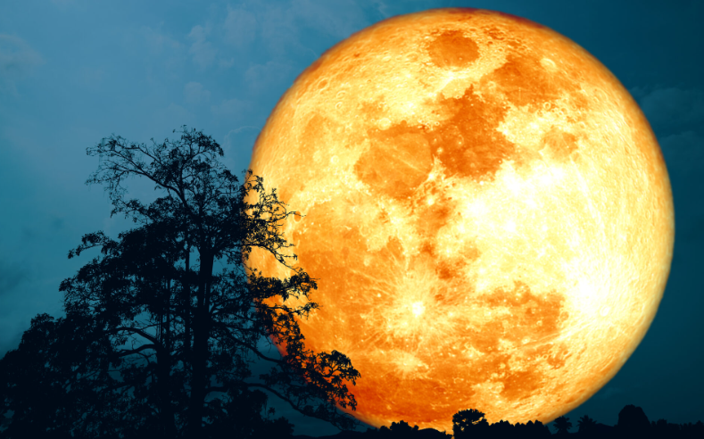 【美品】 Dead Moon 6th 7EP Dead Moon 'Unknown Passing' reissue LP – Tiger Rose Vintage